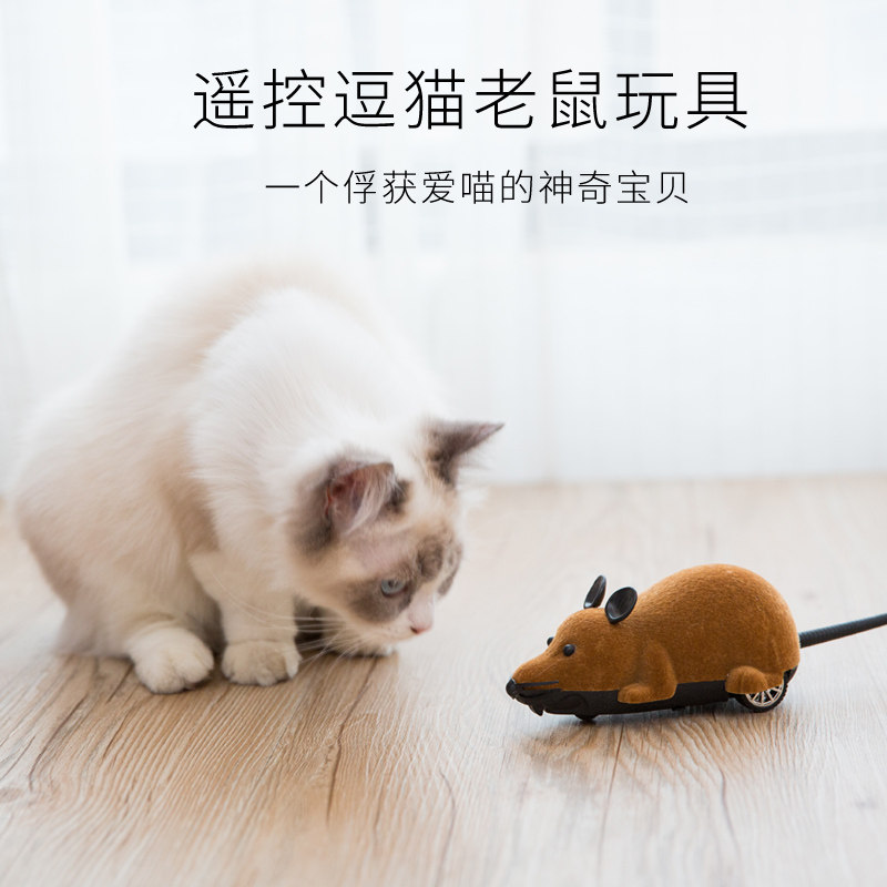 猫玩具 电动 遥控老鼠_猫咪玩具遥控仿真小老鼠逗猫神器电动毛绒大