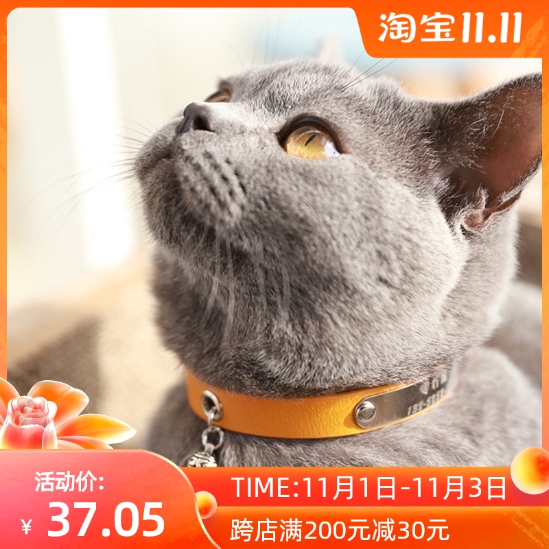 宠物猫咪项圈夏刻字防丢失可爱猫猫颈圈幼猫脖圈可调节送无声铃铛