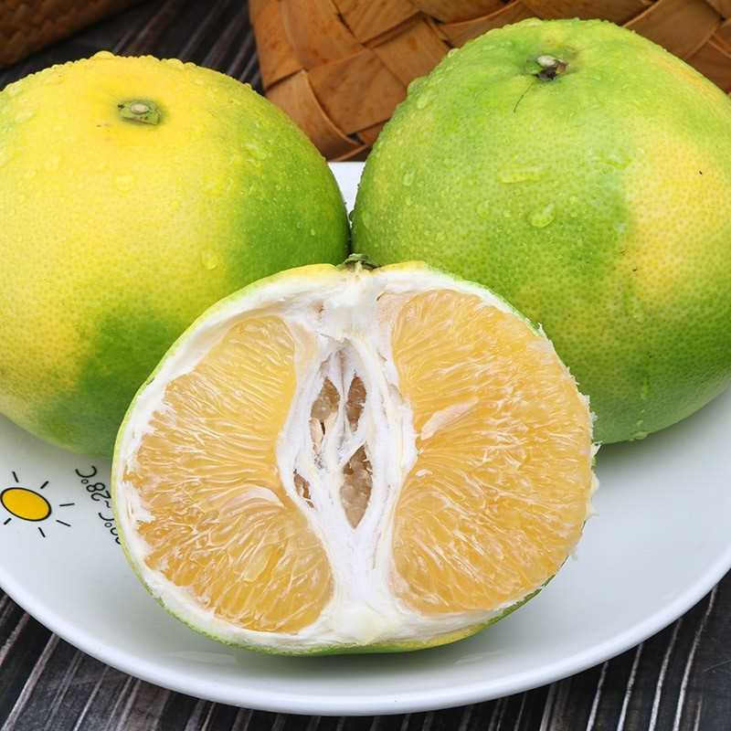 葡萄柚子新鲜水果青皮纯甜鸡尾青柚福建水晶柚正宗台湾黄金葡萄柚