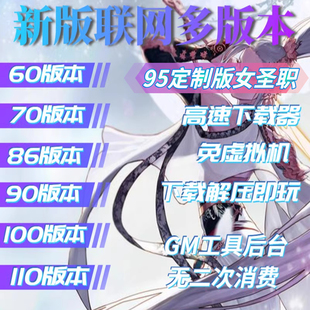 dnf单机版联网版地下城与勇士60/70/86/90/100/110/95女圣职/送GM