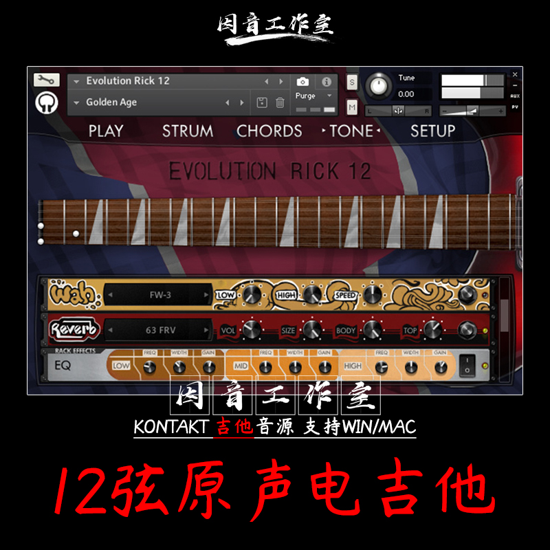 12弦原声电吉他Evolution Rick 12内置吉他效果处理器kontakt音源