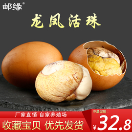 邮缘活珠子新鲜13天鸡胚蛋即食喜蛋凤凰熟钢化蛋毛蛋20只非毛鸡蛋