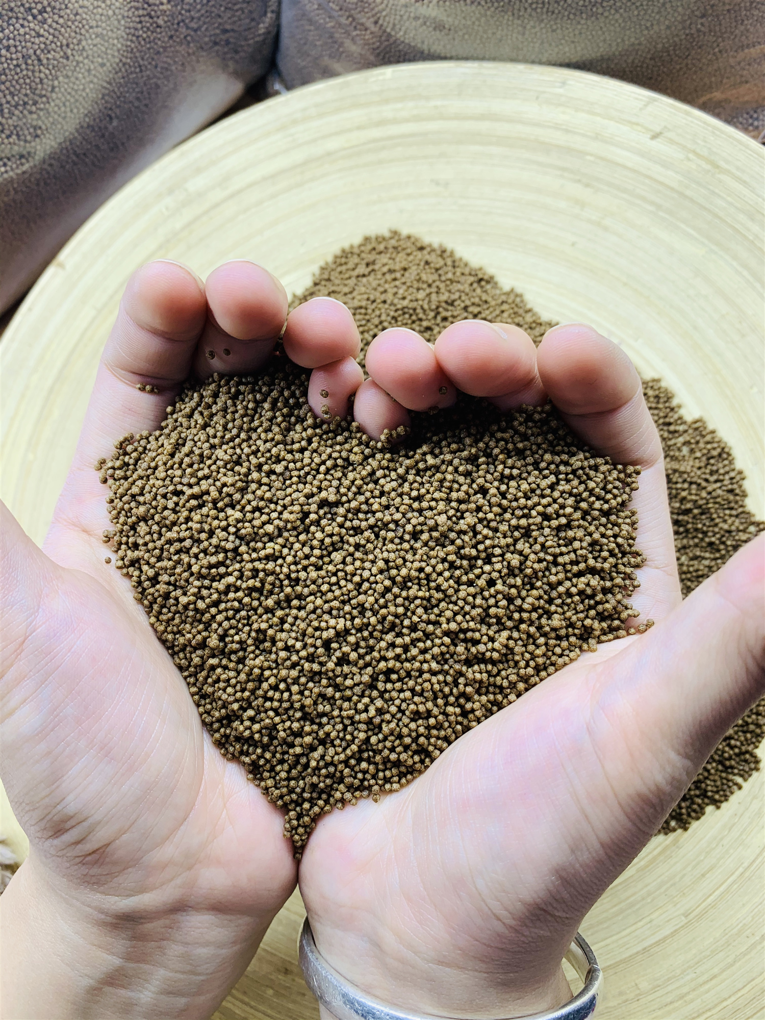 特价热带鱼食_中国斗鱼泰国斗鱼孔雀鱼饲料鱼食灯科鱼小颗粒小型