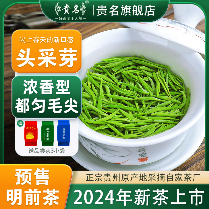 【新茶预售】贵州都匀毛尖2024年