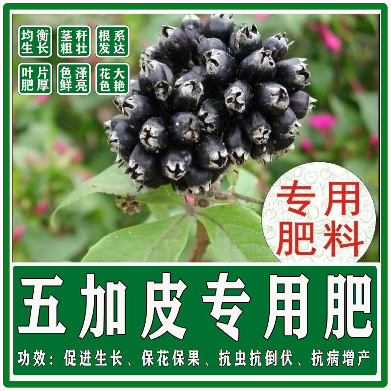 五加皮苗用肥料花肥料复合肥有机肥营养土盆栽植物花卉颗粒缓释肥