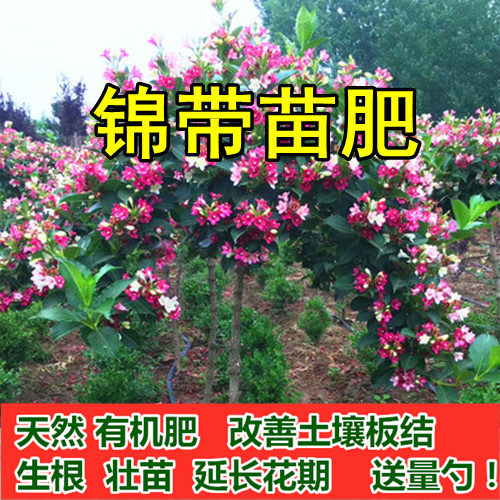 红王子锦带苗用肥料花肥料复合肥有机肥营养土盆栽植物花卉