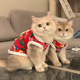 猫咪衣服冬季东北大花袄英短银渐层幼猫狗狗博美泰迪保暖新年唐装