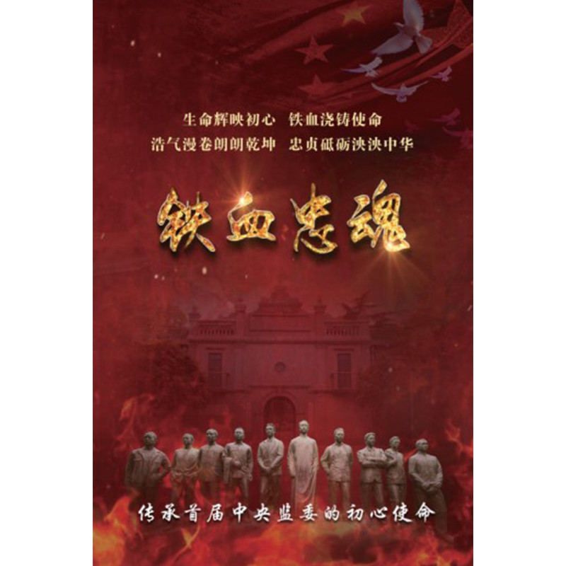 铁血忠魂26分钟党风廉政教育参考警示教育光盘中国方正党政读物