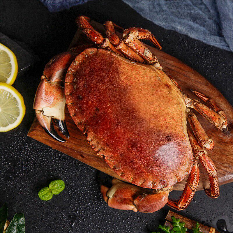 味库鲜活大面包蟹螃蟹海鲜水产超大珍宝蟹母蟹梭子蟹600-1000g/只