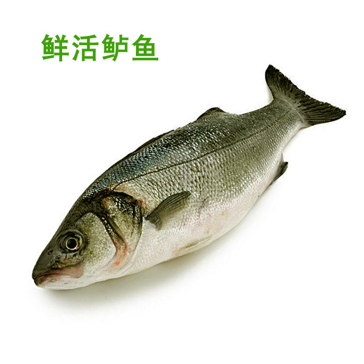一斤兰州老李海鲜鲜活淡水鲈鱼30元一条左右其它