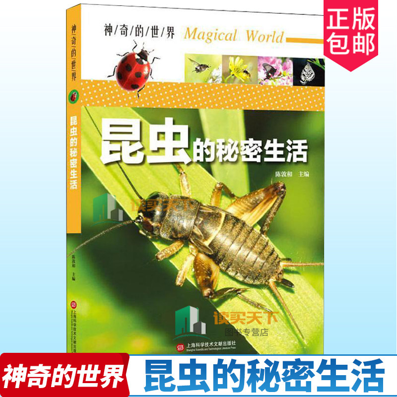 正版包邮 昆虫的秘密生活 神奇的世界陈敦和 解析地球上昆虫家族奥妙