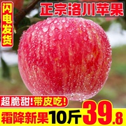 Authentic Luochuan apples 10 catties Shaanxi red Fuji fresh fruit season extra large rock candy heart apple whole box
