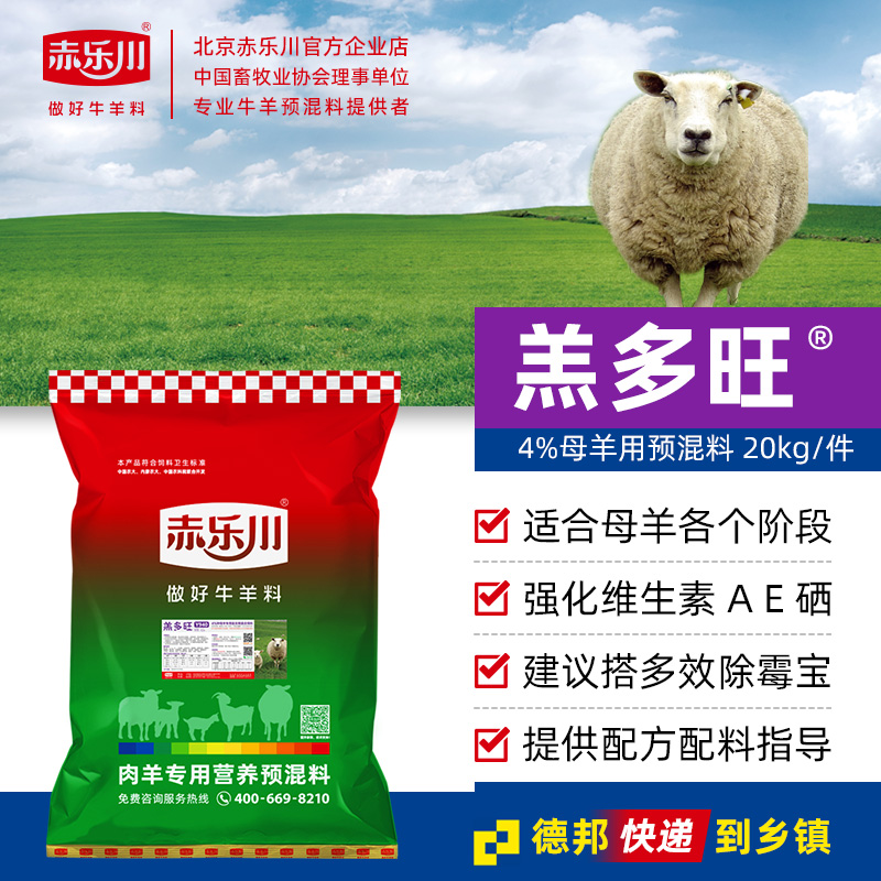赤乐川4%羔多旺空怀孕基础繁殖母羊