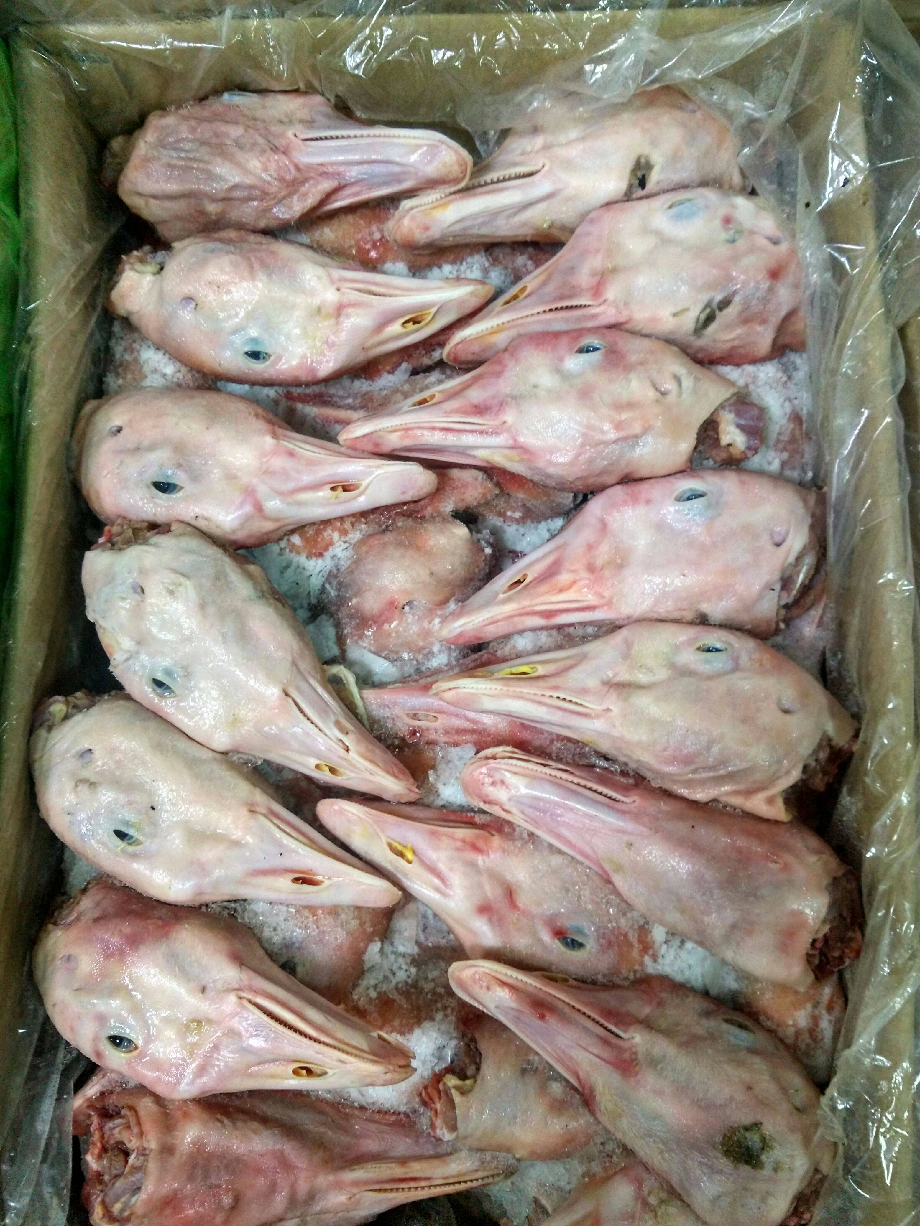 新品鹅头农家散养老鹅鹅脑袋新鲜速冻大小鹅头10公斤