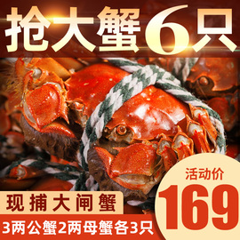 【3两公2两母】6只大闸蟹鲜活螃蟹海鲜水产鲜活生鲜六月黄公母蟹