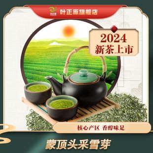 2024新茶蒙顶早春明前雪芽毛尖特级绿茶 仙毫秀芽 信阳毛尖类绿茶