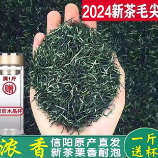 特级茶叶新茶信阳毛尖2024新茶明前毛尖高山云雾绿茶自产自销250g