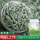 茶叶信阳毛尖2024新茶明前毛尖茶500g信阳绿茶叶纯手工春茶嫩芽尖