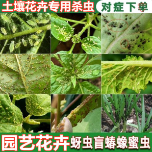 花卉杀虫剂植物土壤灭花盆小飞虫药月季花草蚜虫绿植室内除虫喷雾