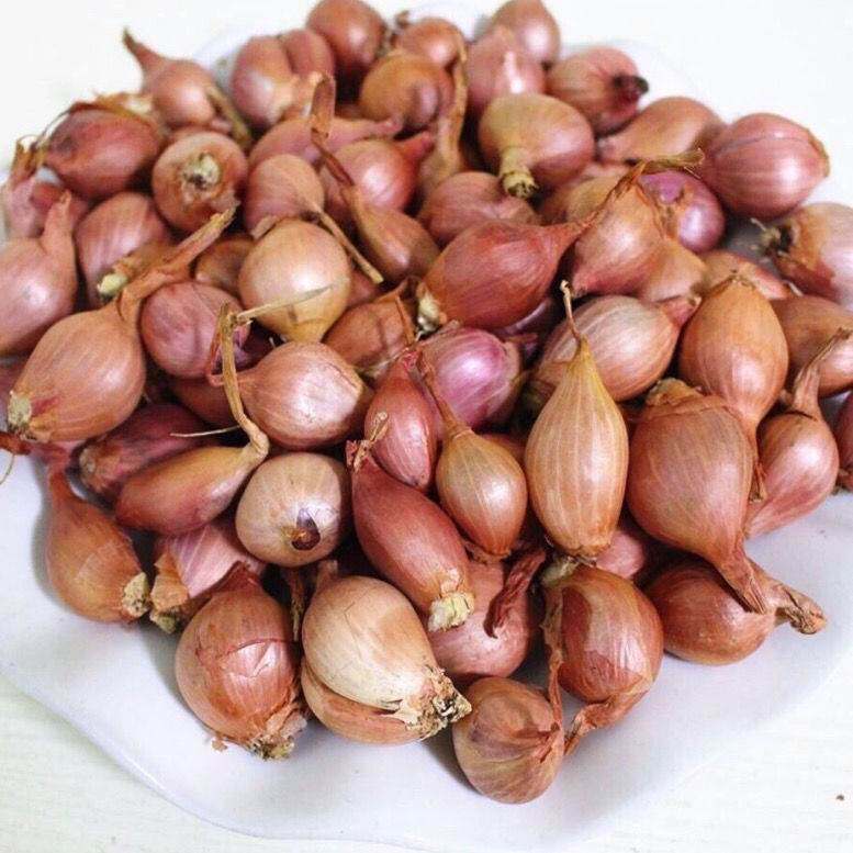 小号特香农家单粒红葱头新鲜小葱头特香葱头毛葱干葱头油肠粉