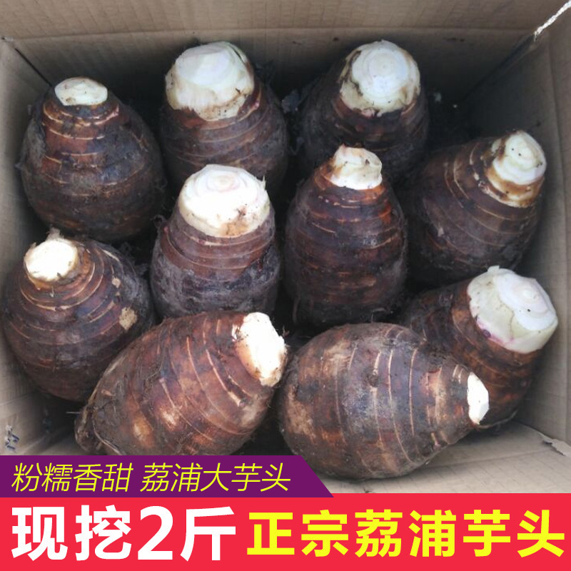 正宗荔浦芋头新鲜槟榔香芋毛芋糯粉广西桂林特产整箱3斤包邮|ruв категории водной мясо/свежие фрукты и овощи/еда, свежие овощи/овощной продукции, свежие овощи, 芋头 - от Buy2taobao.com для оказания профессиональной услуги покупки агента Taobao