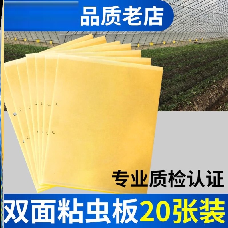 蝇蛆餐馆苍蝇纸黄色粘虫板引诱剂诱捕剂20张粘胶占板高粘胶板工具|ruв категории доставка цветов/цветок моделирования/растения садоводства, садовых принадлежностей, других садовых принадлежностей - от Buy2taobao.com для оказания профессиональной услуги покупки агента Taobao
