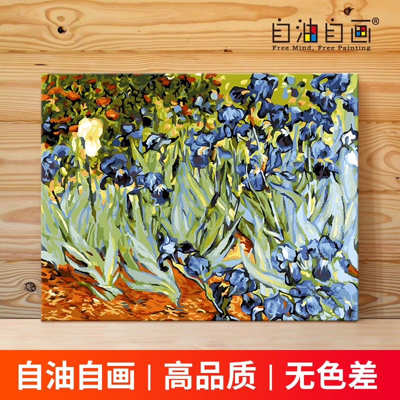 自油自画数字油画手工填色抽象画diy手绘客厅装饰名画