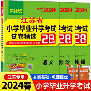 备考2024小升初江苏省小学毕业升学考试卷精选28套卷语文数学英语全套苏教版六年级下册名校真题卷升初中系统总复习资料必刷题春雨