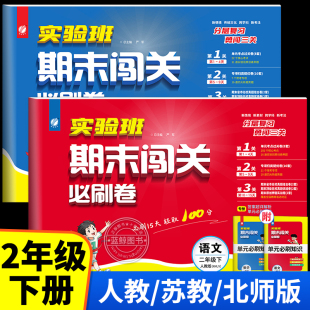 2024春新版二年级下册实验班期末闯关必刷卷小学语文数学全套人教版苏教北师大试卷测试卷春雨RJ