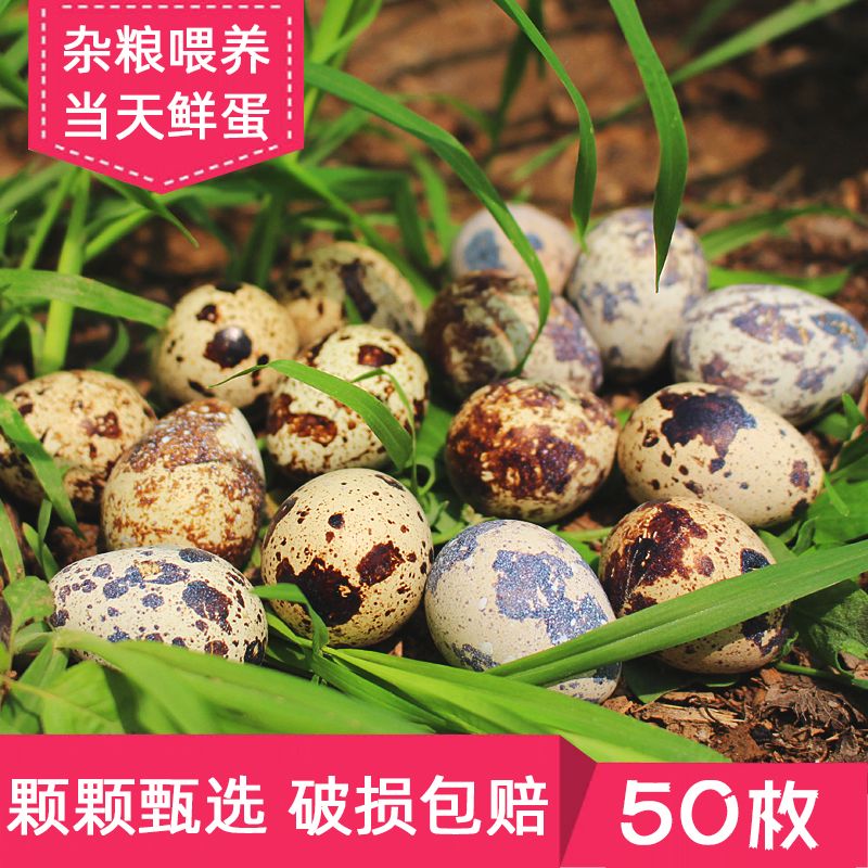 鹌鹑蛋新鲜生鲜的农家正宗杂粮喂养老人宝宝辅食产地直发包邮50枚在类目 水产肉类/新鲜蔬果/熟食, 蛋/蛋制品, 鲜活蛋类, 其它中 - 来自Buy2taobao.com提供专业的淘宝代购服务
