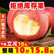 Shaanxi Plateau Red Fuji ugly apple 10 catties in season rock candy heart fresh fruit crisp and sweet a whole box of apples