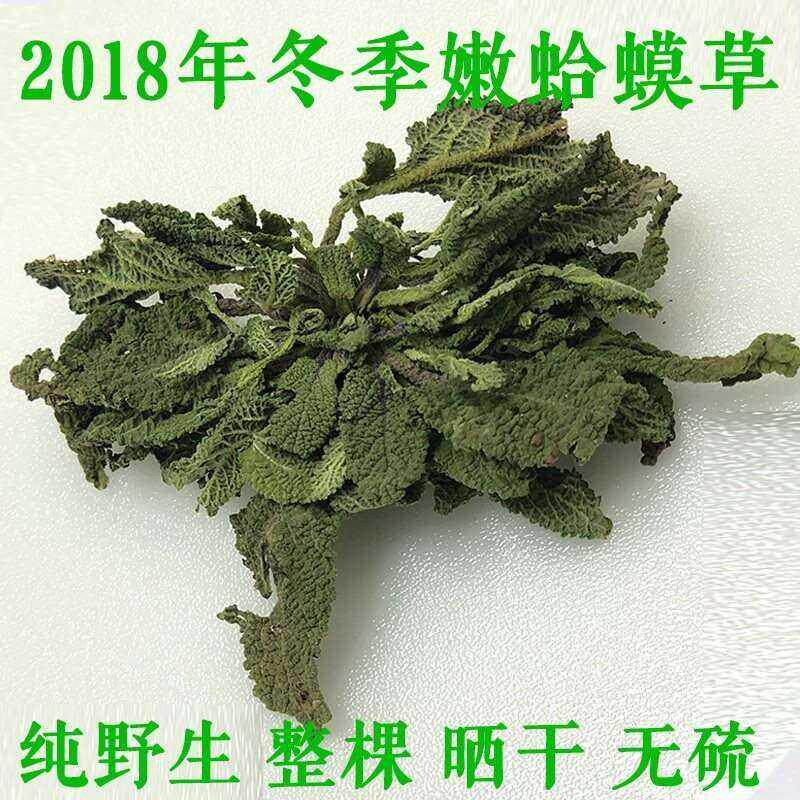 精品干蛤蟆草野生包邮500g冬季