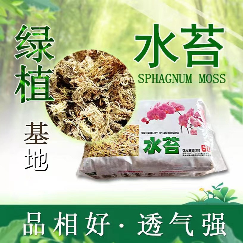 干水苔微景观花卉景观营养基质土苔藓 盆栽多肉栽底砂培基营养土