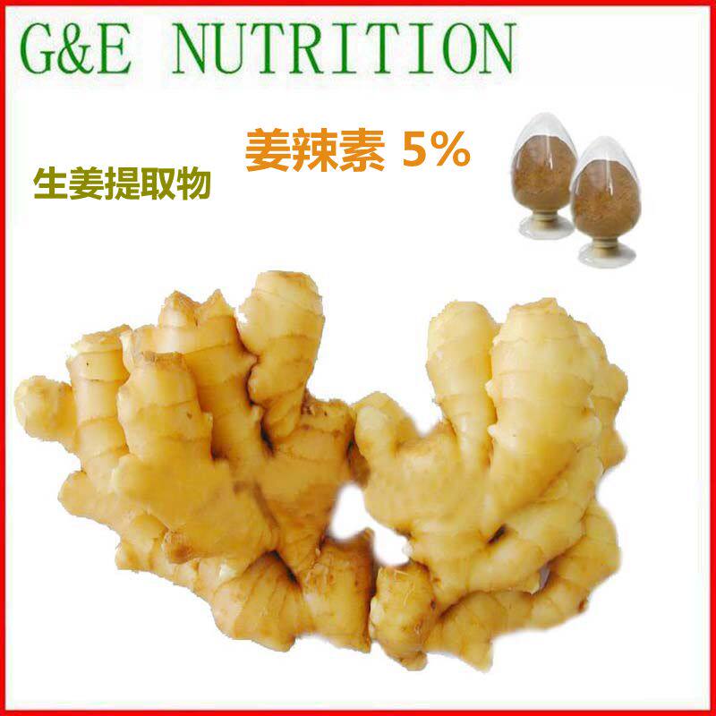 500g 纯天然高含量生姜提取物 姜辣素5% 工厂直销 包邮