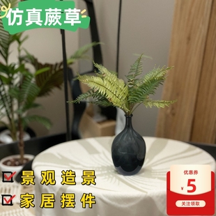 仿真凤尾蕨叶蕨草植物墙软装商场美陈造景插花叶材假绿植波斯草