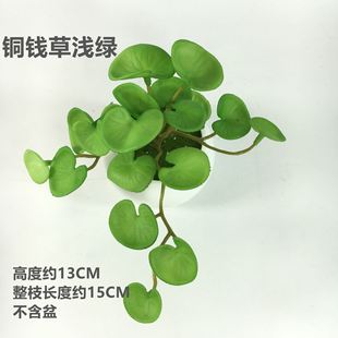 仿真花束手感多肉香菜叶家居装饰塑料绿植铜钱草