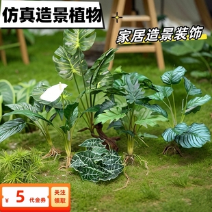 仿真苹果叶竹芋龟背白掌叶造景植物水培假草桌面装饰商场橱窗摆设