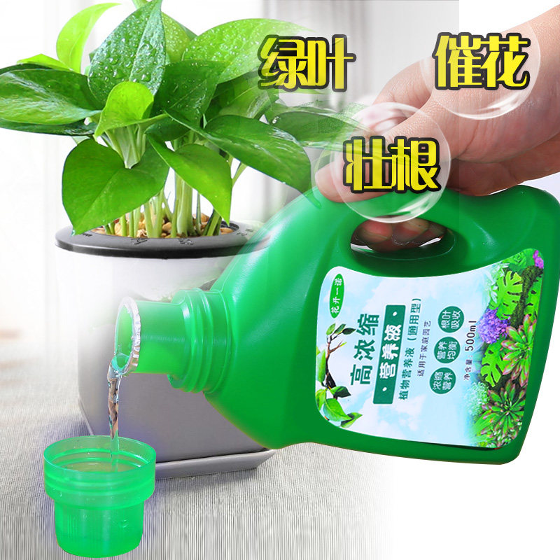 营养液花肥家用通用型盆栽植物绿萝发财树富贵竹多肉水培花卉肥料