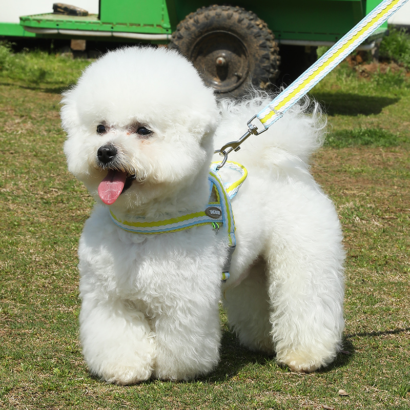 清新夏季透气狗狗牵引绳中小型犬泰迪