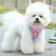 2025新款背心式狗狗牵引绳小型犬比熊幼犬专用不勒脖胸背带遛狗绳