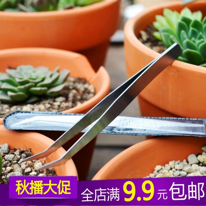 不鏽鋼鑷子苔藓微景觀擺件專用多肉園藝DIY工具電子維修工具夾子在類目 鮮花速遞/花卉仿真/綠植園藝, 園藝用品, 其它園藝用品中 - 來自Buy2taobao.com提供專業的淘寶代購服務
