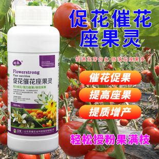 座果灵保花保果农药防落素促花催花李子树番茄授粉精坐果精坐果灵