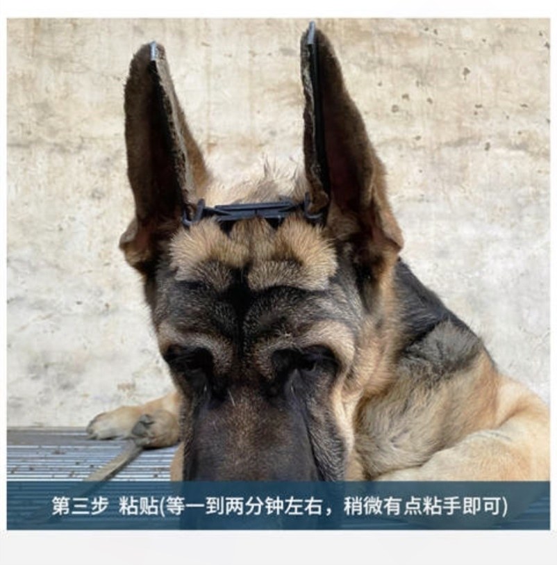 宠物立耳器耳朵狗狗专用正立杜宾犬德牧宠物用品辅助器矫正器固定