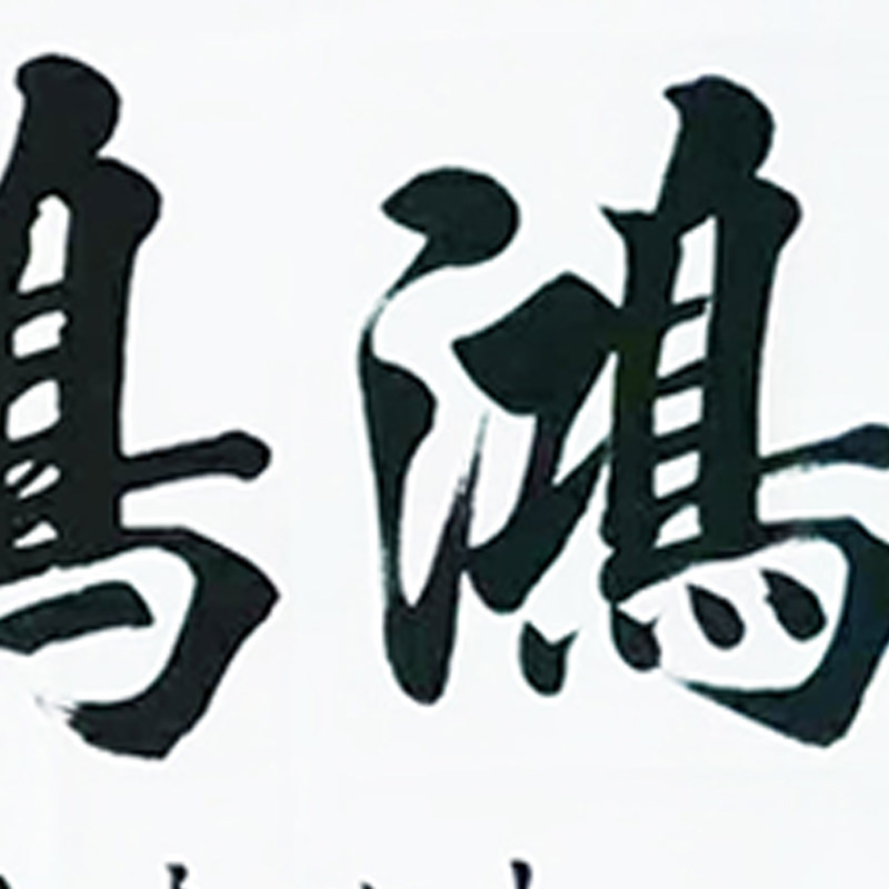 赵泓锦《鸿鹄之志》 北京仁和苑特邀书法家