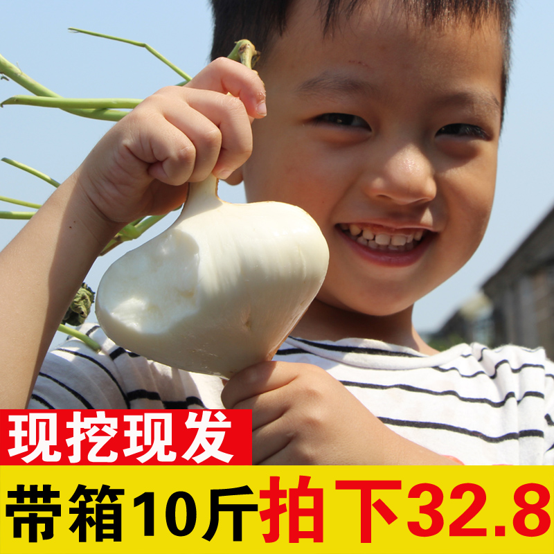 湖北新鲜凉薯现挖白地瓜农家土特产豆薯番薯沙葛地萝卜带箱10斤装在类目 水产肉类/新鲜蔬果/熟食, 新鲜蔬菜/蔬菜制品, 新鲜蔬菜, 番薯中 - 来自Buy2taobao.com提供专业的淘宝代购服务
