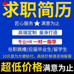 简历代做高端简历代写优化设计制作中英文求职简历定制修改