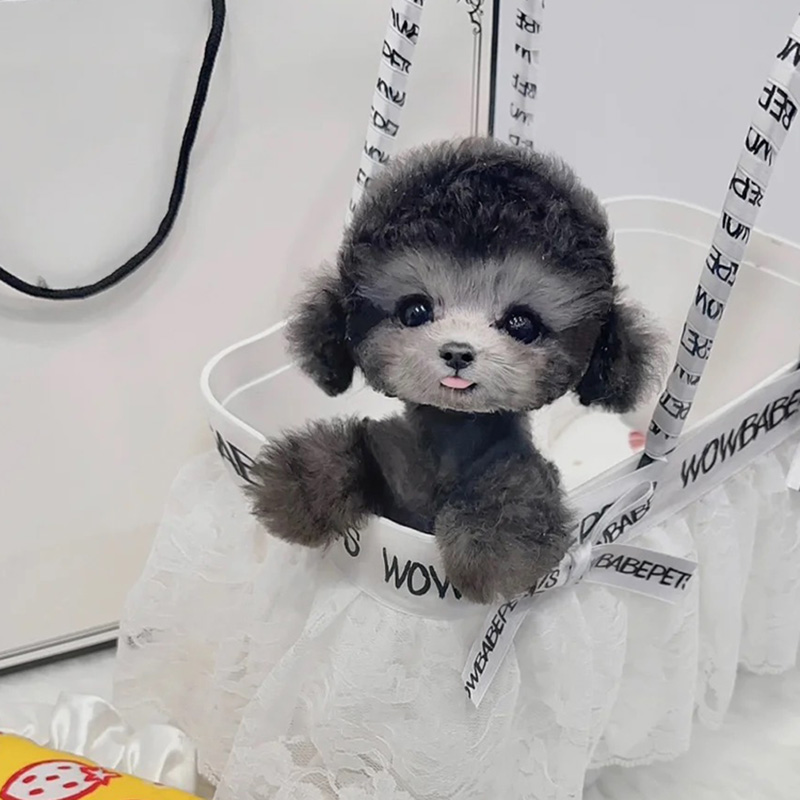 泰迪幼犬纯种小型犬灰色香槟色赛级俊介宠物活体飞耳长不大茶杯犬