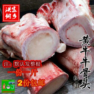黄牛大骨图片