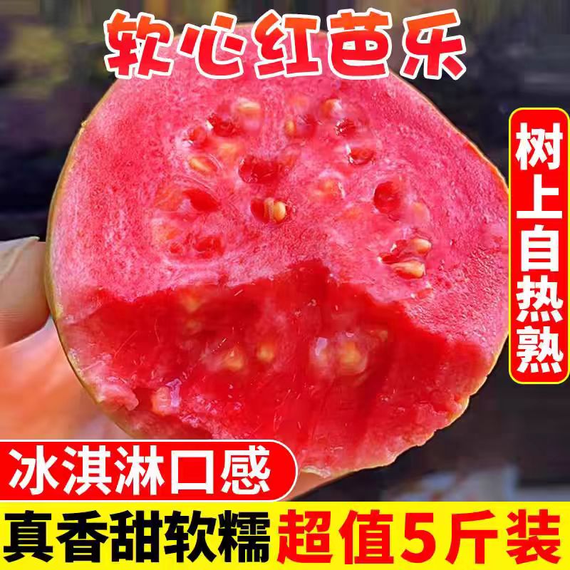 【顺丰包邮】软糯红心芭乐5斤新鲜水