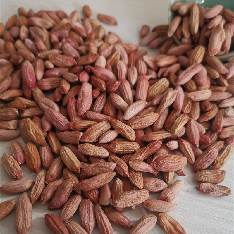 兰考沙地农家自产新大粒生花生米 零食坚果非转基因 5斤白沙白皮